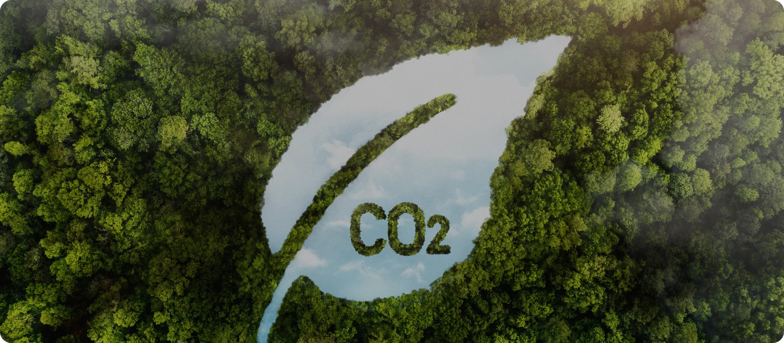 La diferencia entre medir la huella de carbono bajo GHG Protocol y la ISO 14.064: ¿Cuál es el mejor para tu empresa?